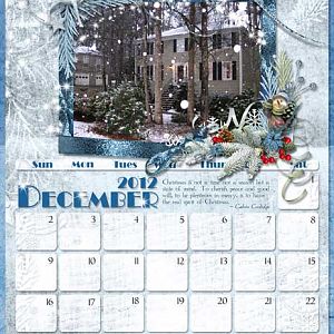 December Calendar 2012 (Michael and Lauren)