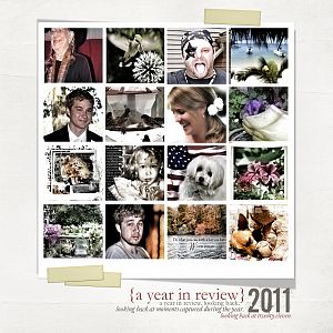 2011 in Review