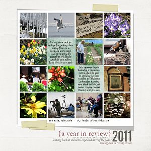 2011 Review