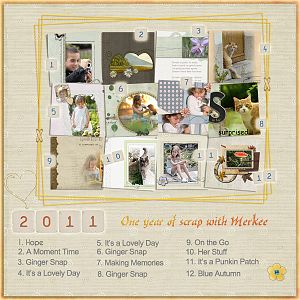 One Year of scrapbooking  with Merkee