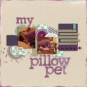 My Pillow Pet