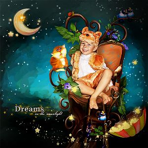 Dreams in the moonlight by Kandi Designs