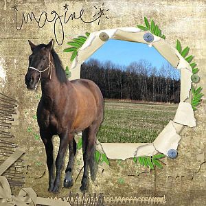 Imagine