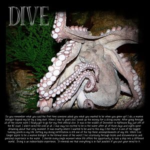 ADSR Challenge 12 - Dive