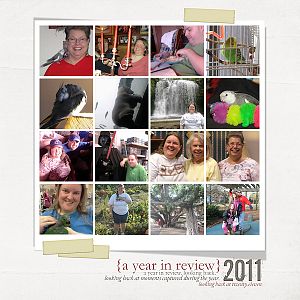 Year in Review 2011