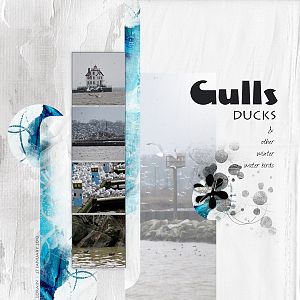 AnnaLift 01.27.12 - Gulls