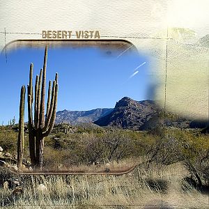Desert  View