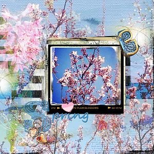 Plum Blossoms ArtPlay AnnaLift0223