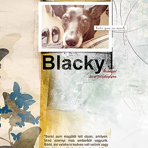 My dog - Blacky