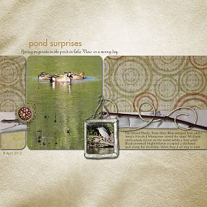 Pond Surprises