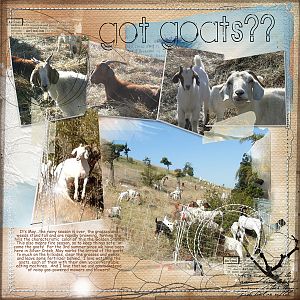 Got Goats