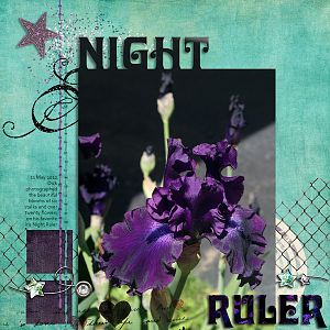 Night Ruler
