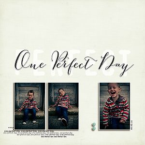 A Perfect Day_1