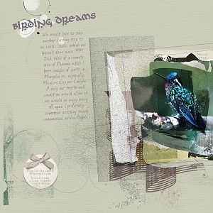 AnnaLift 06.08.12 - Birding Dreams