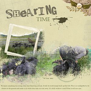 Shearing Time