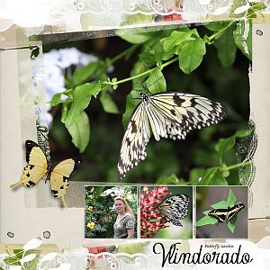Butterfly Garden Vlindorado
