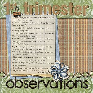 1st Trimester Observations