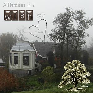 A Dream is a wish