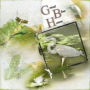2012Aug7 GB Heron