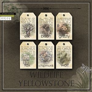 Wildlife Yellowstone