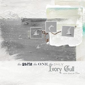 AnnaLift 09.07.12 - First Ivory Gull
