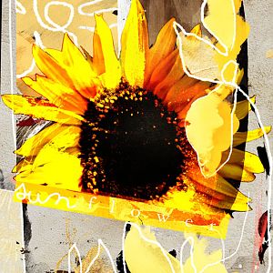 Sunflower      challenge 3