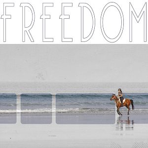 Freedom