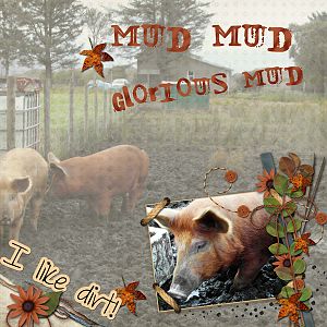 Mud mud glorious mud