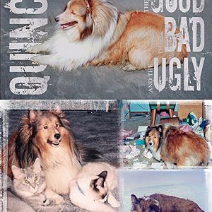 October Challenge 1: The Good, The Bad, and The Ugly
