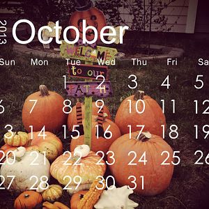 October Color Challenge