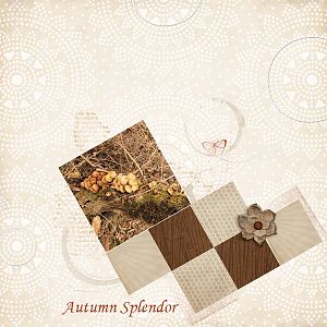 challenge 2 -Autumn Splendor