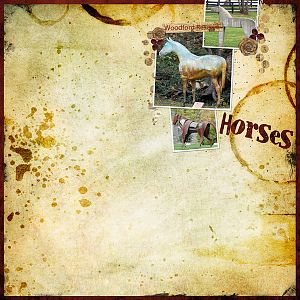 horses of woodford reserve