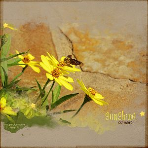 AnnaLift 11.16.12 - Sunshine Captured
