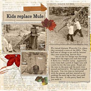 kid replace mule nov challenge