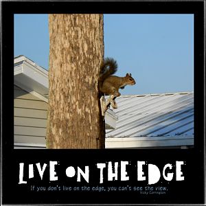 Live On The Edge