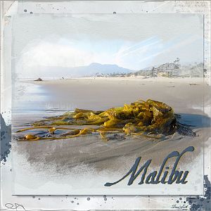 I Remember Malibu