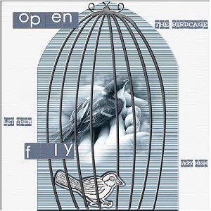 Open the birdcage
