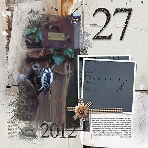 2012Dec27 Dec daily