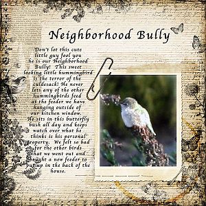 Neighborhood Bully