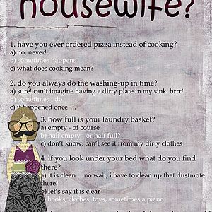 perfect housewife