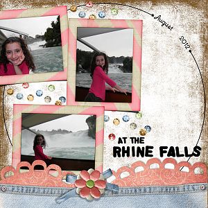 At the Rhine Falls