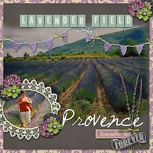 In The Provence