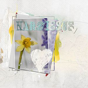 AnnaChallenge - Narcissus