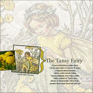 The Tansy Fairy