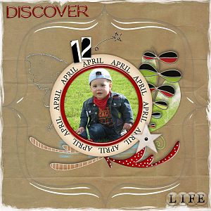 *Discover Life*
