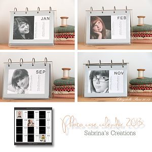 Photo case calendar 2013