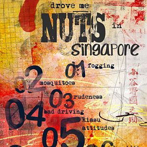 7 Things that drove me Nuts in Singapore