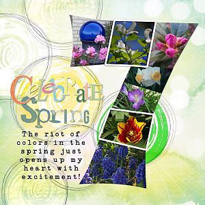 7 template - spring