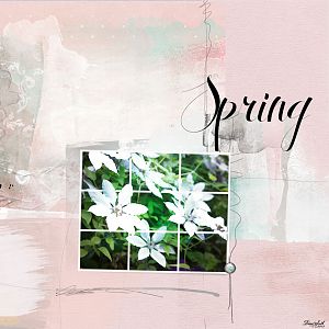 Anna Challenge Spring