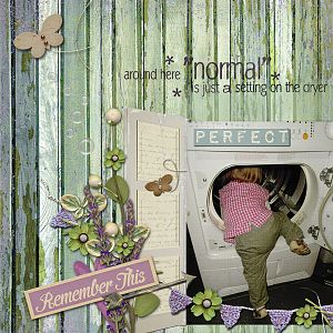 Normal is just a setting on the dryer
